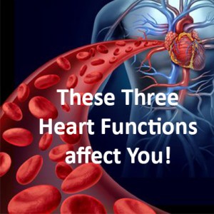 Heart functions