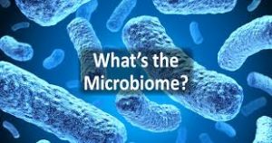 What is a microbiome